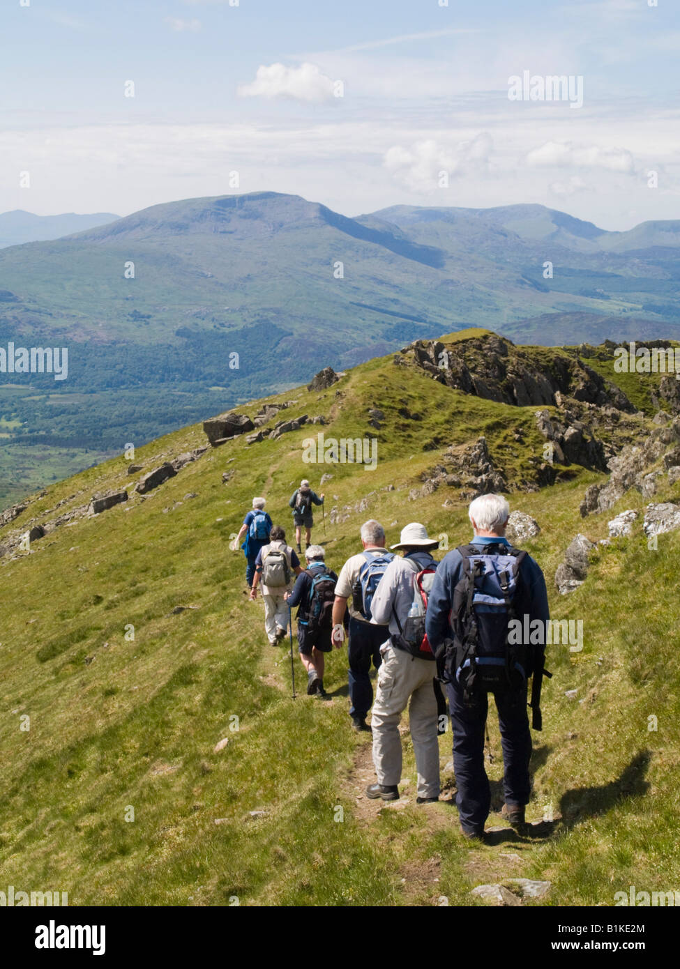 Group of Welsh ramblers walking on ridge path on Moelwyn Mawr in Snowdonia National Park in summer. Croesor North Wales UK Britain Stock Photo