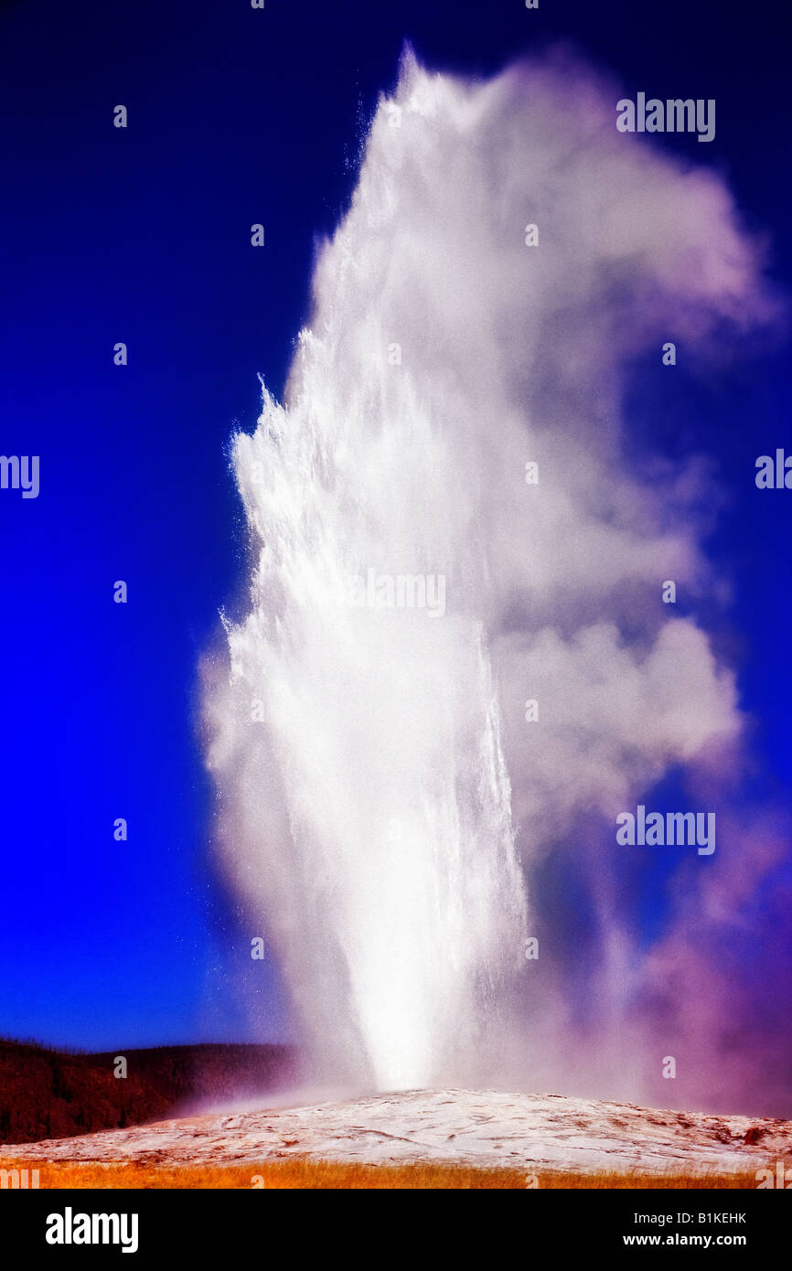 Image of Old Faithful erupting at full force taken on a beautiful blue summer day at Yellowstone National Park Stock Photo