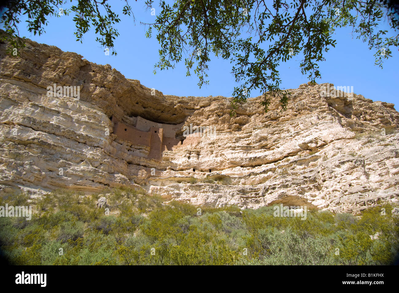 Cliff dwellings in a limestone cliff at Montezuma's Castle  National Monument near Campe Verde Arizona Stock Photo