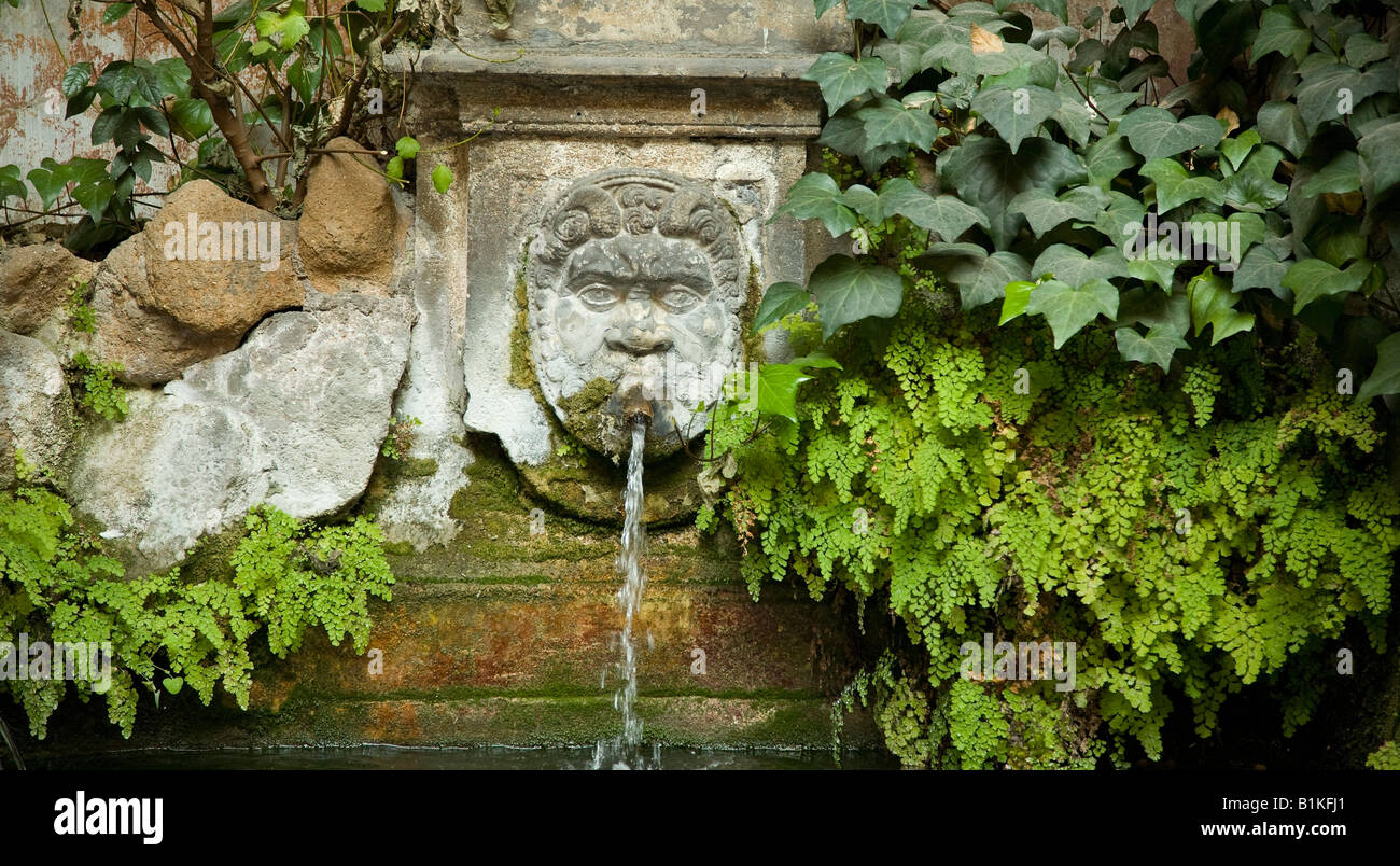 Italian garden scene mouth fountain ferns Stock Photo