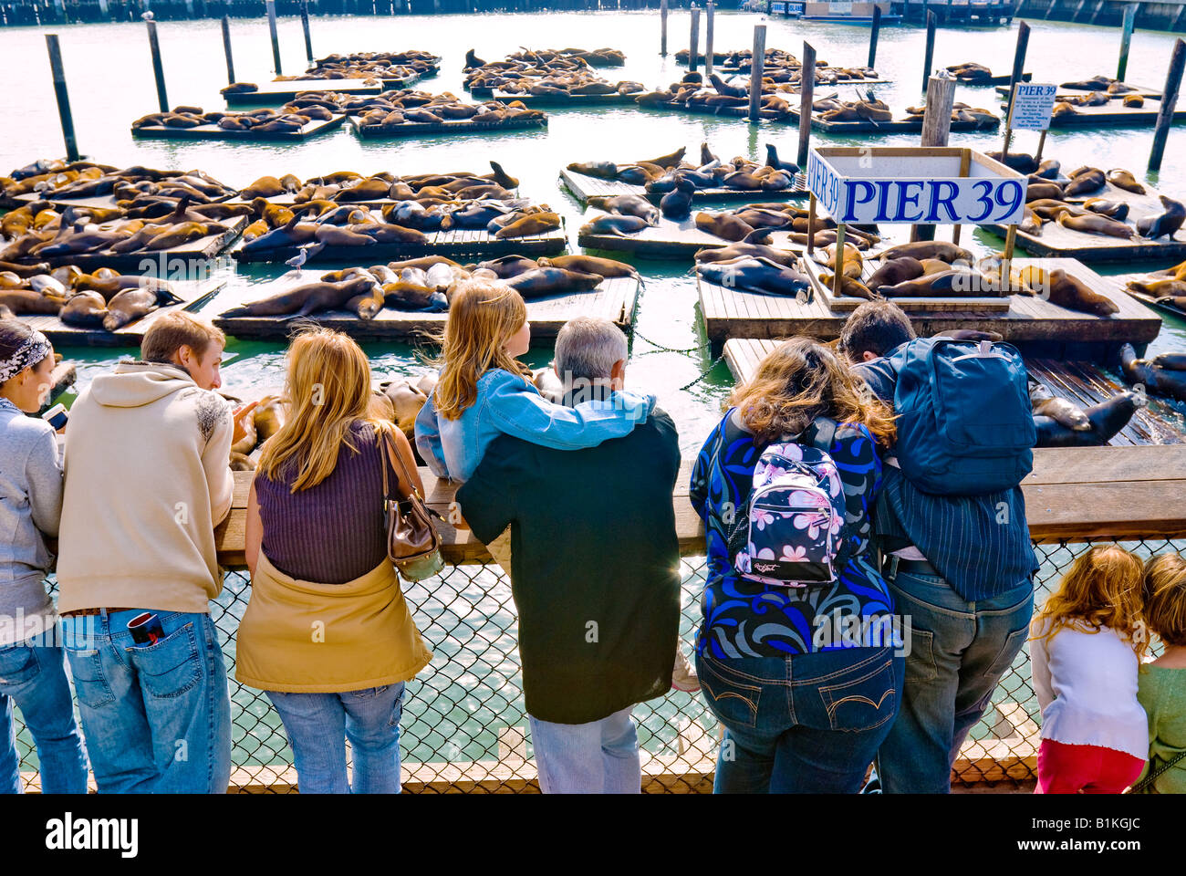 pier 39 san francisco fisherman wharf