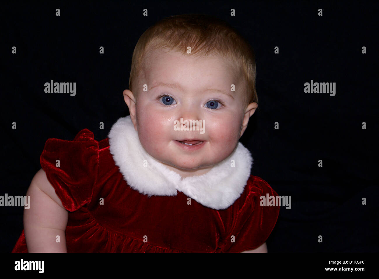 baby girl in CHRISTMAS red velvet dress with white collar Stock Photo