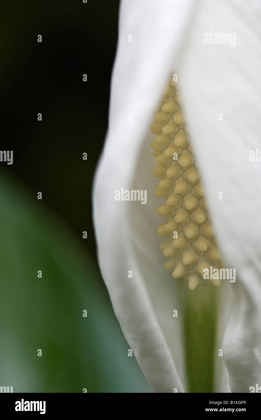 Dark high res hi-res stock photography and images - Alamy