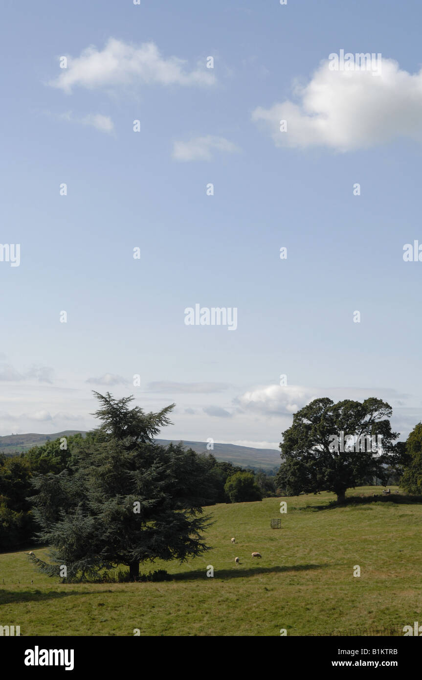 Countryside near Eggleston Stock Photo