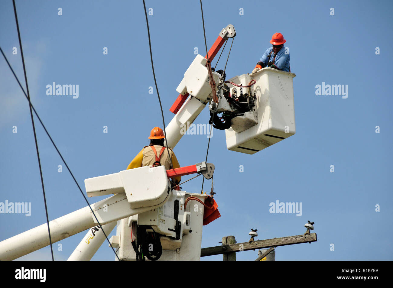 Workers install high tension electrical power lines Lakeland Florida