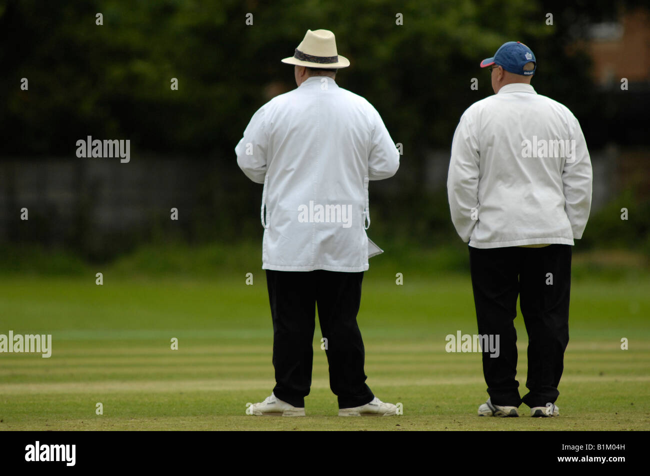 cricket umpires in conversation Stock Photo