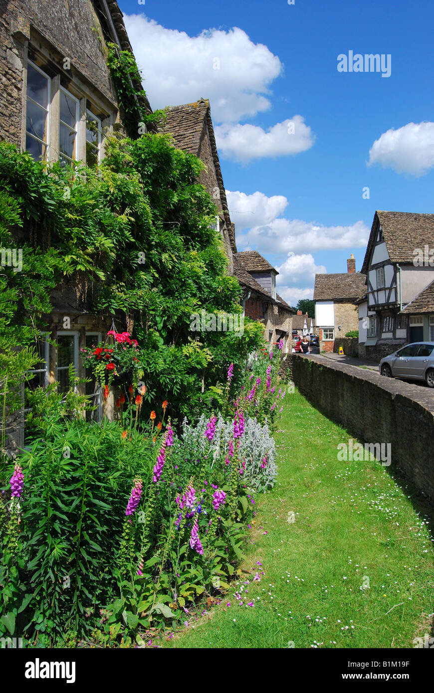 Period cottage garden, Church Street, Lacock, Wiltshire, England, United Kingdom Stock Photo