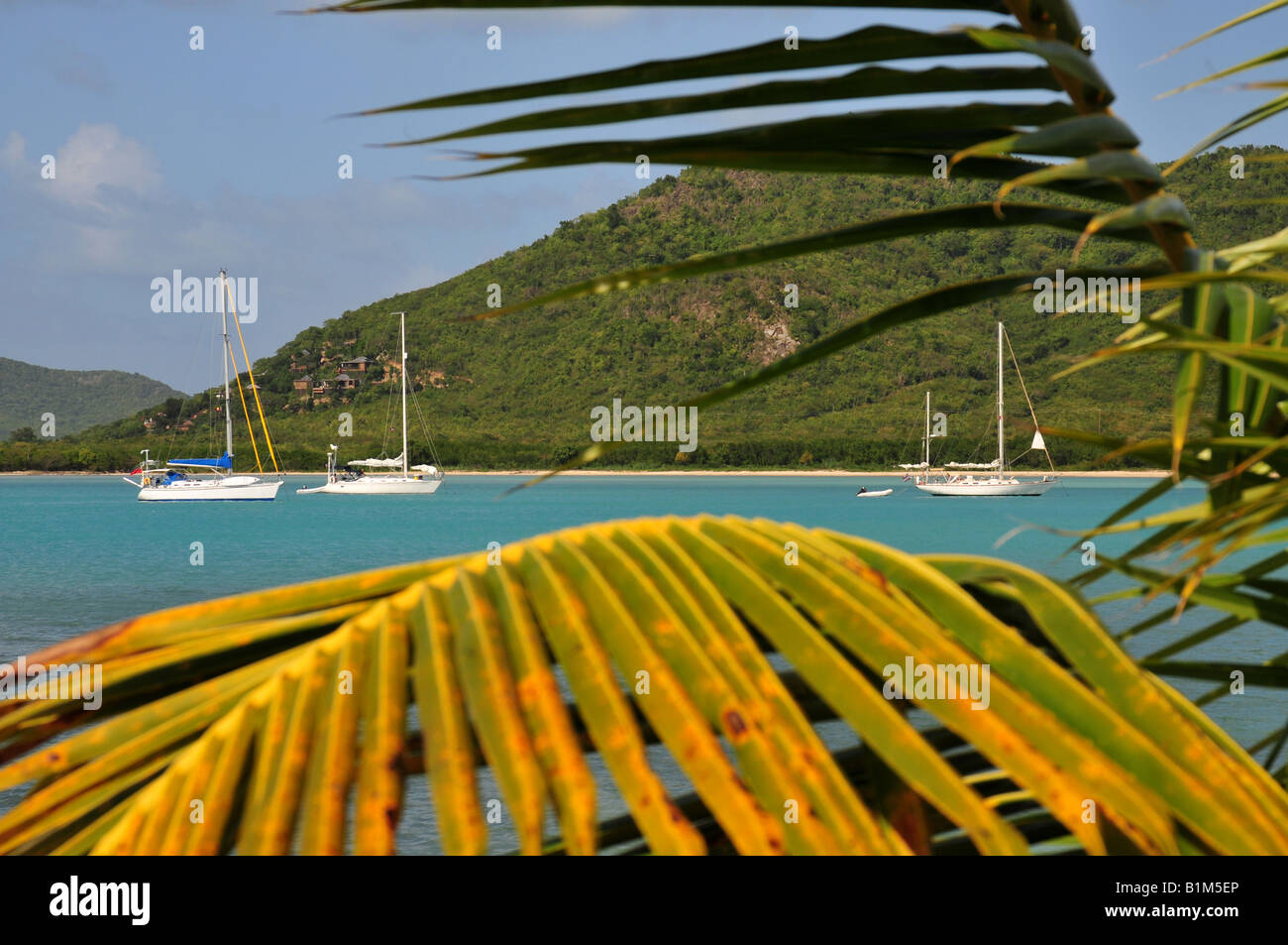 Antigua Jolly Harbour Stock Photo Alamy