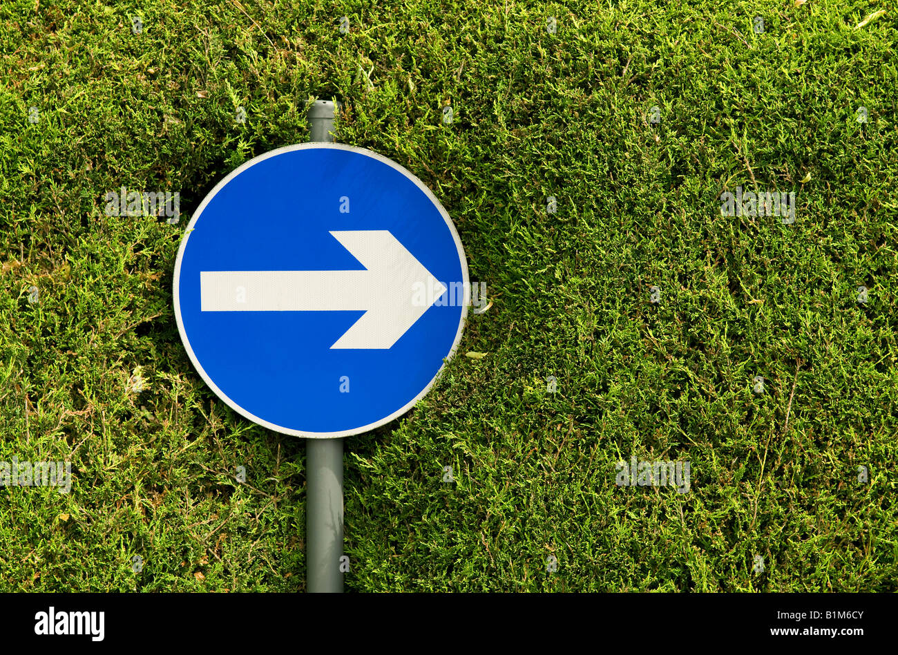 one way direction sign in clipped hedge Stock Photo