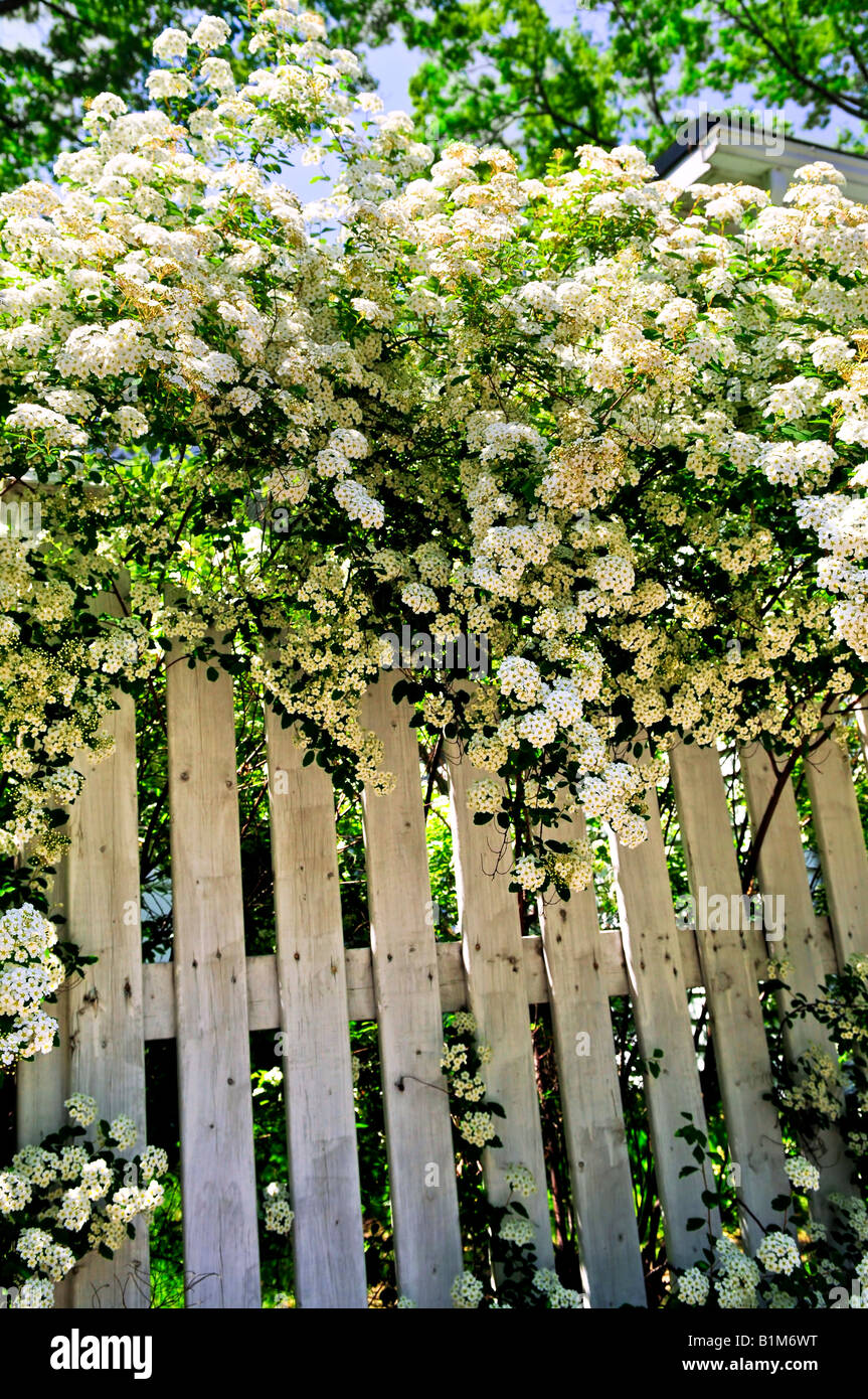 Fence details hi-res stock photography and images - Page 5 - Alamy