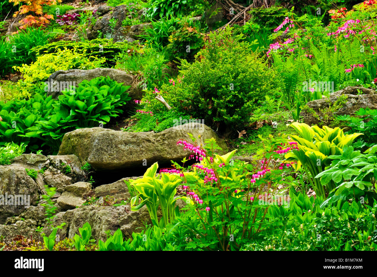 Rock garden with various plants and flowers Stock Photo - Alamy