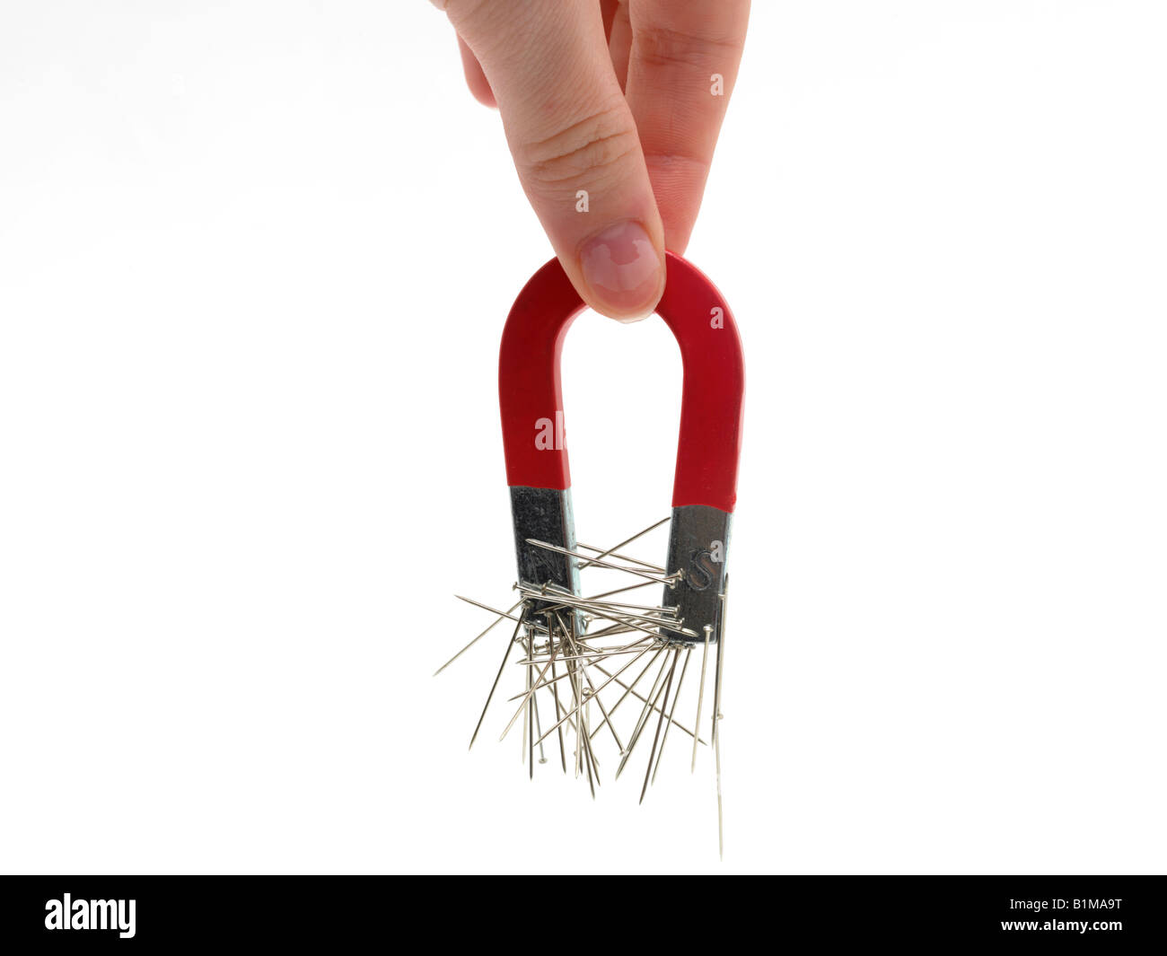 Horseshoe Picking up Pins Stock Photo Alamy