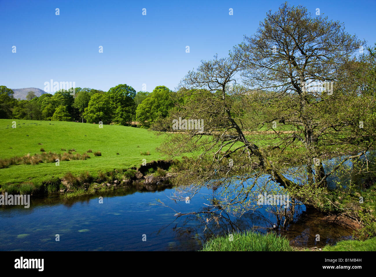 Elter Water In May The Early Spring Colours On The Lake Shoreline, 'The Lake District' Cumbria England UK Stock Photo