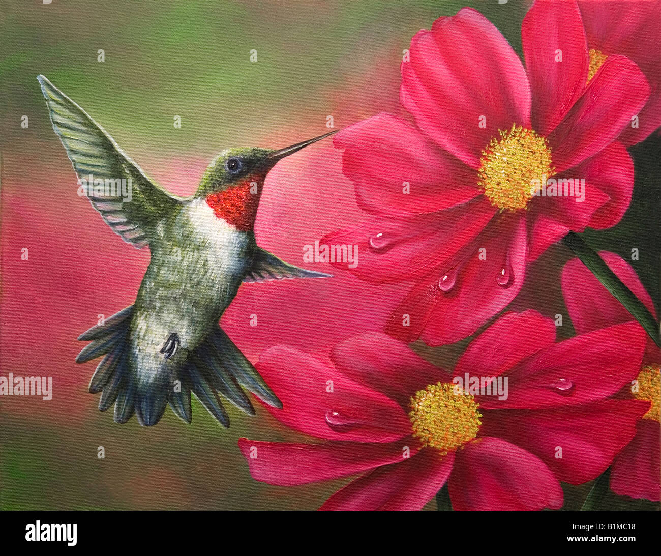 Artwork of a hummingbird and cosmos flowers on canvas Stock Photo Alamy