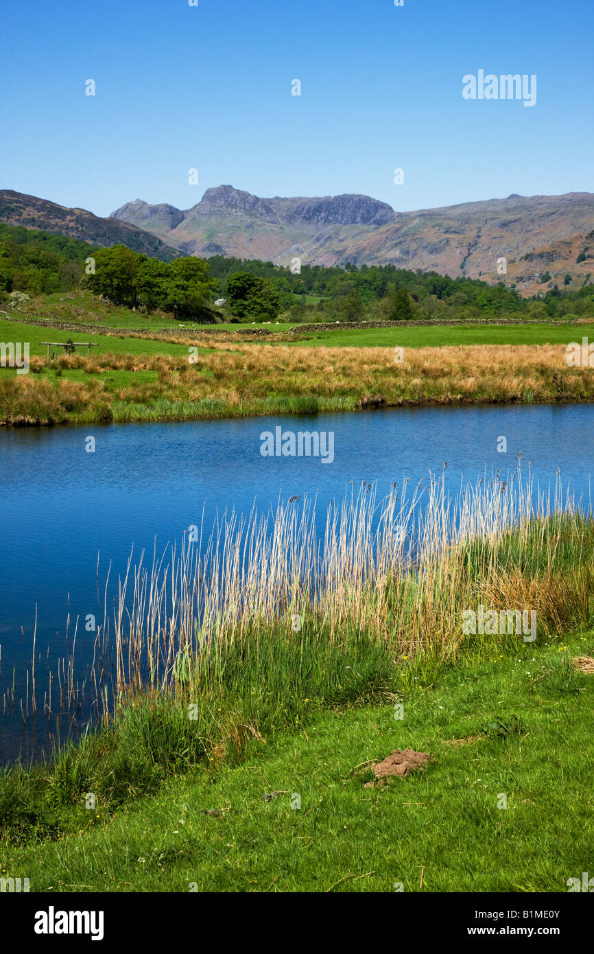 Elter Water Early Spring Colours In May With The 'Langdale Pikes' In The Distance, The 'Lake District' Cumbria England UK Stock Photo