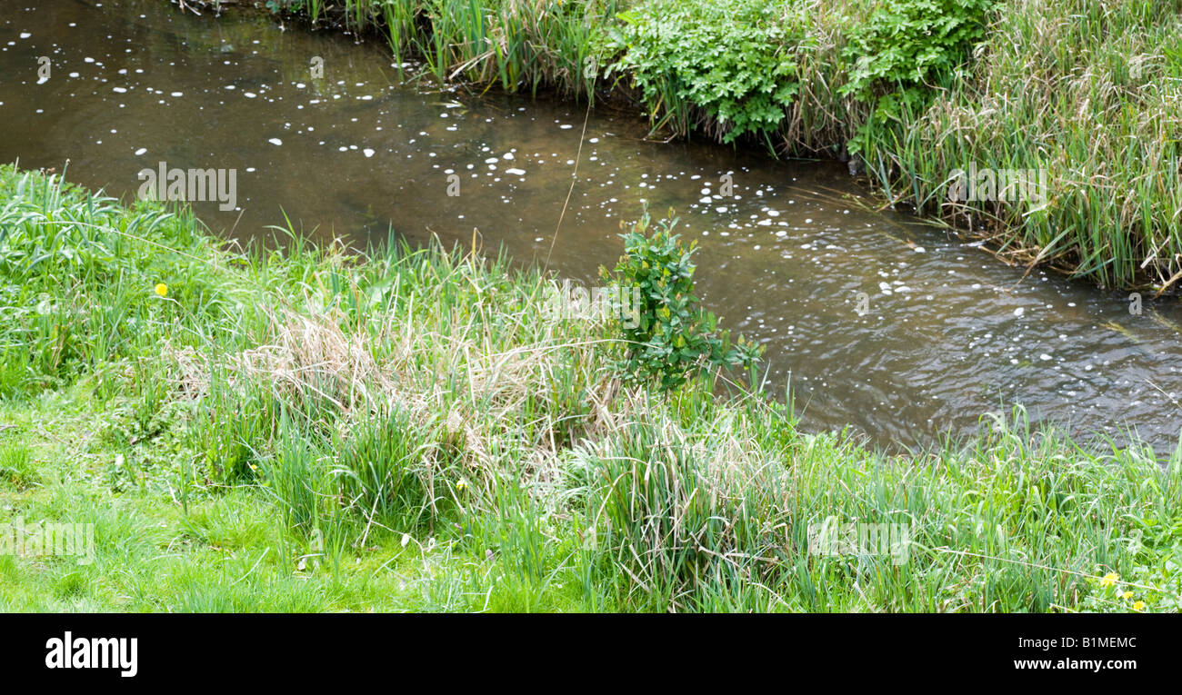 The banks of a river with bushes and trees Stock Photo - Alamy