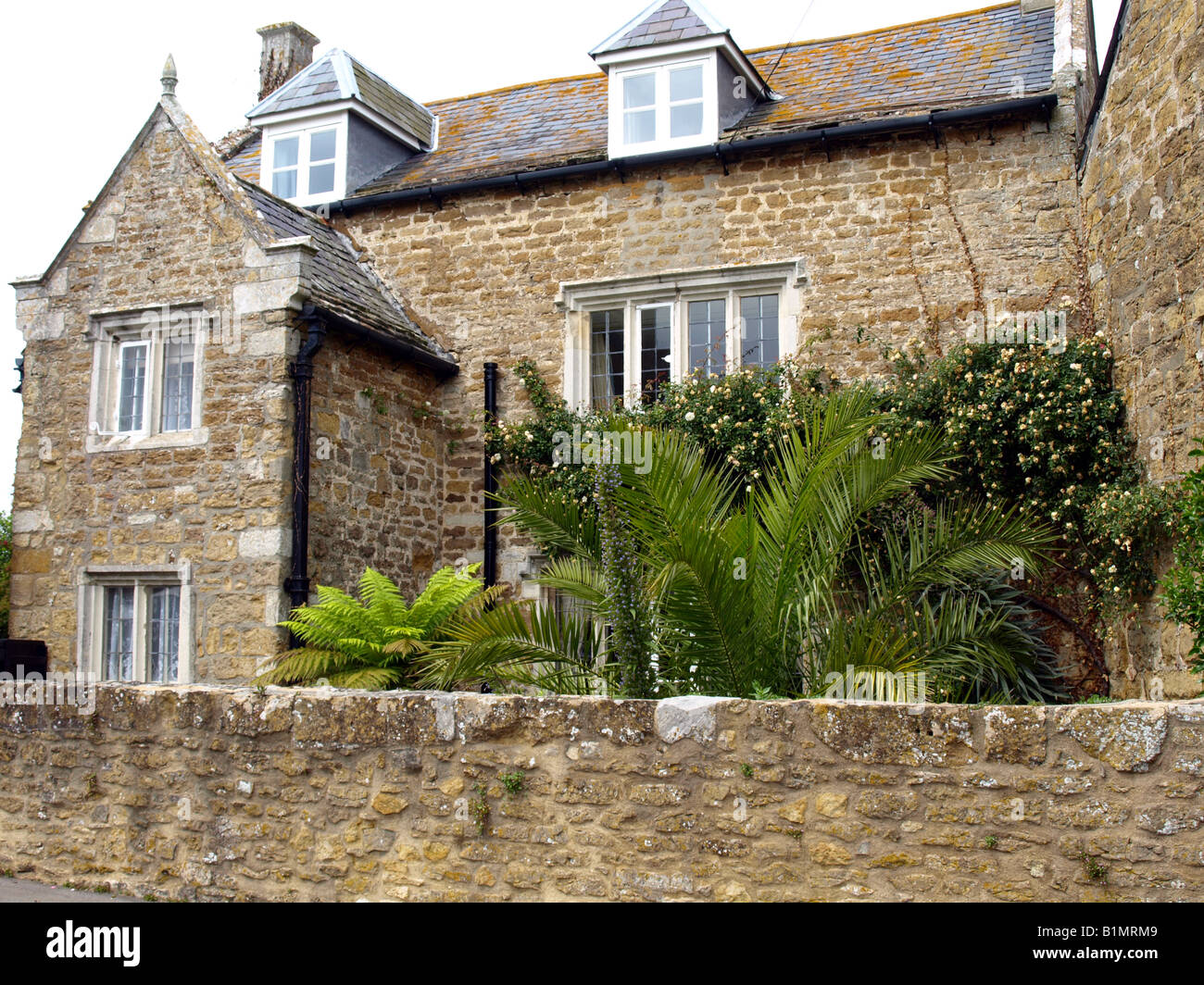 large ferns and palms in the garden of a large house in abbotsbury