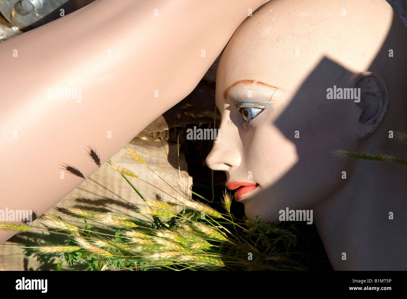 ломать манекены. манекен мужской реалистичный. манекен с шарнирными руками. ломать манекены. манекен пони с ножом.