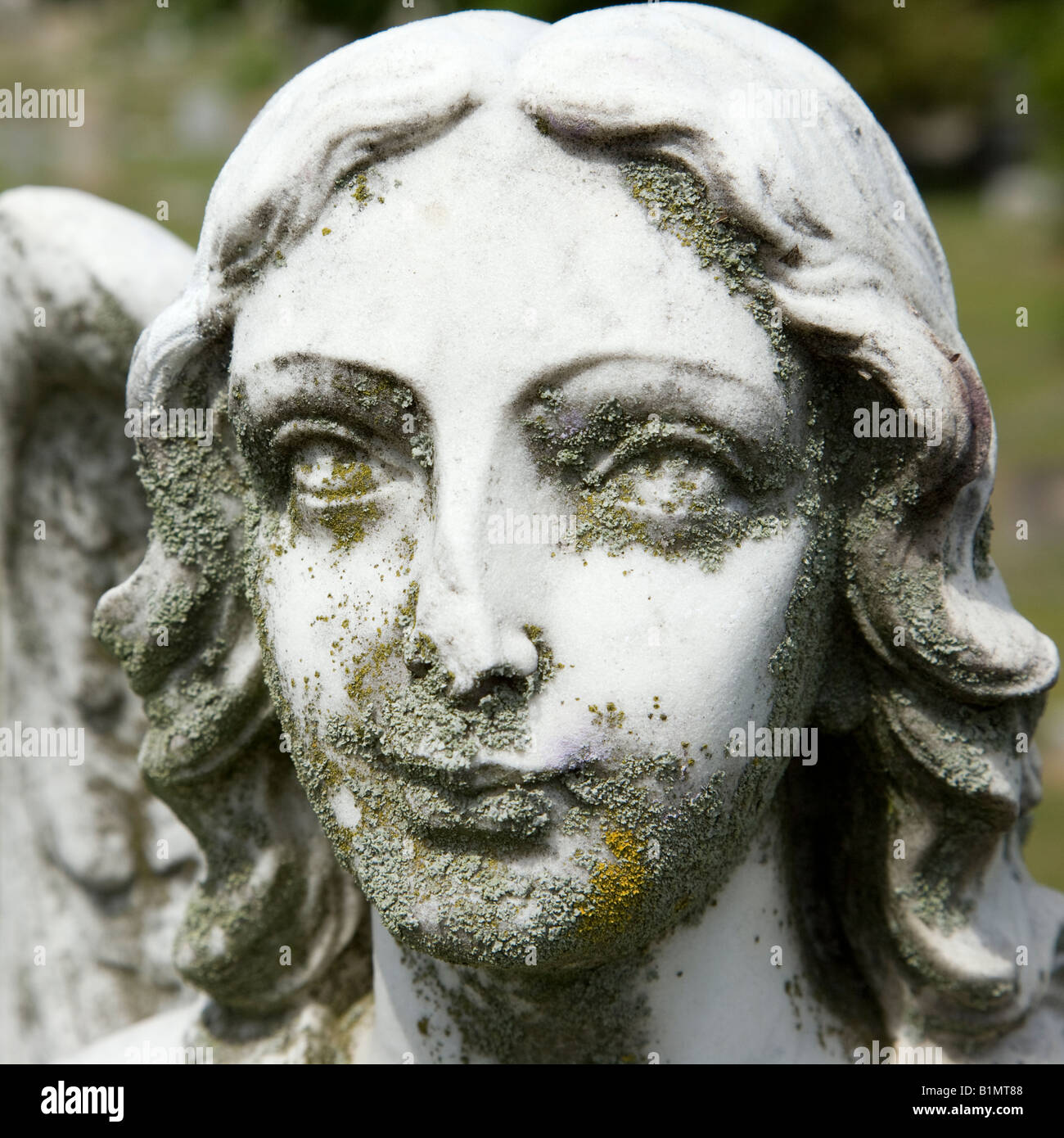 Close up of Guardian Angel statue s face in graveyard Stock Photo Alamy