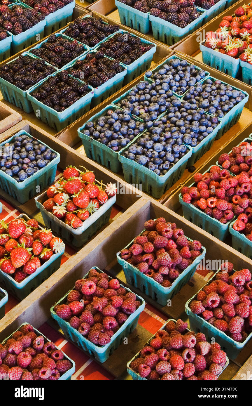 Fresh berries for sale at Smith Berry Barn Scholls Washington County Oregon Stock Photo