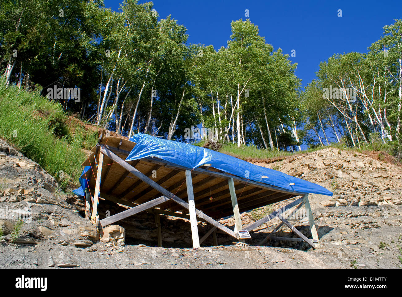 archeological fossil dig Miguasha National Park Stock Photo Alamy