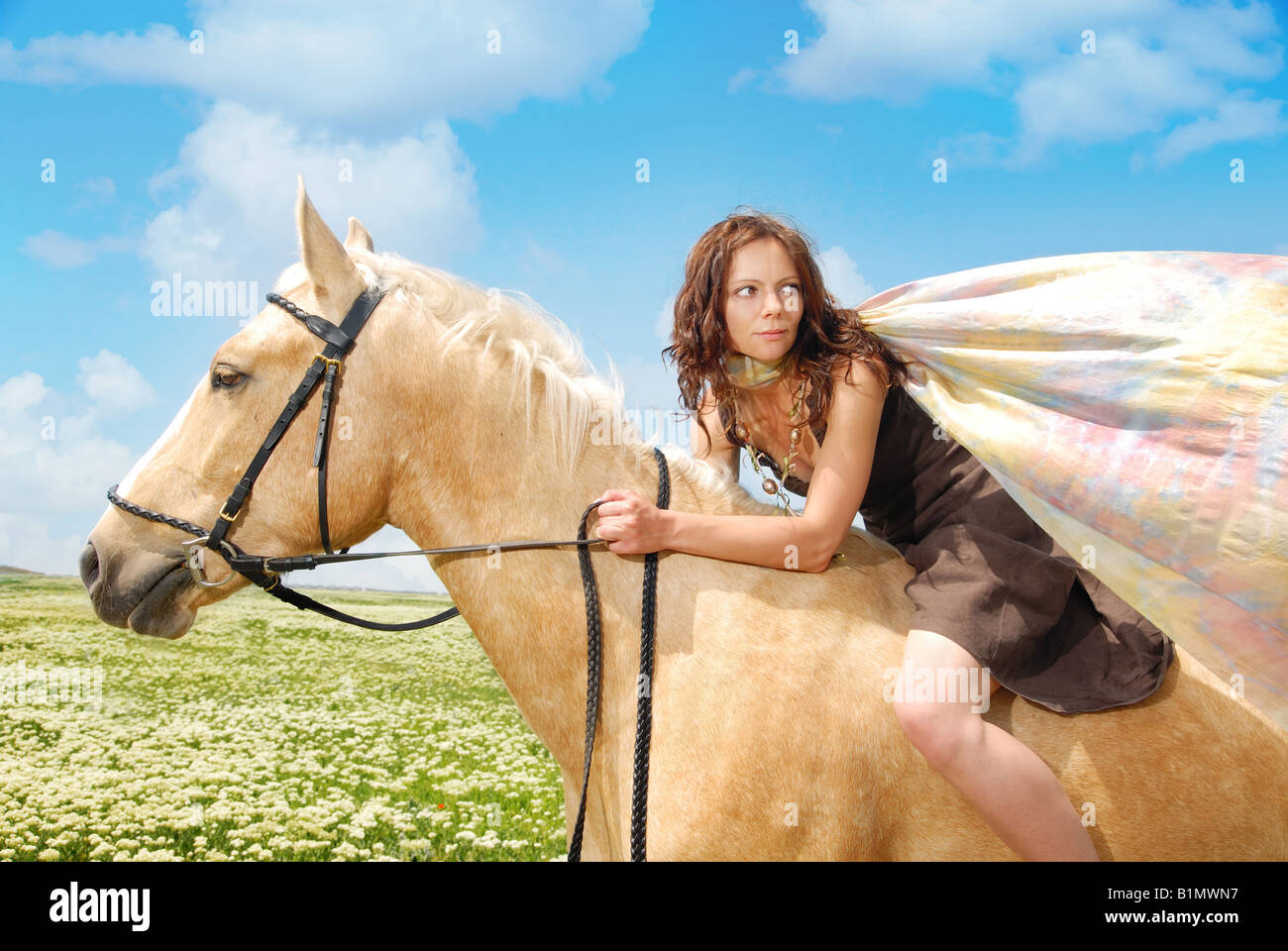Beautiful equestrienne riding horse hires stock photography and images