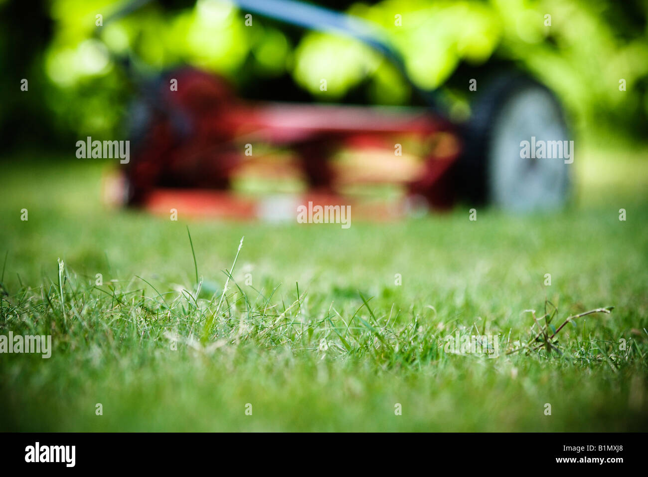 manual lawn mower Stock Photo Alamy