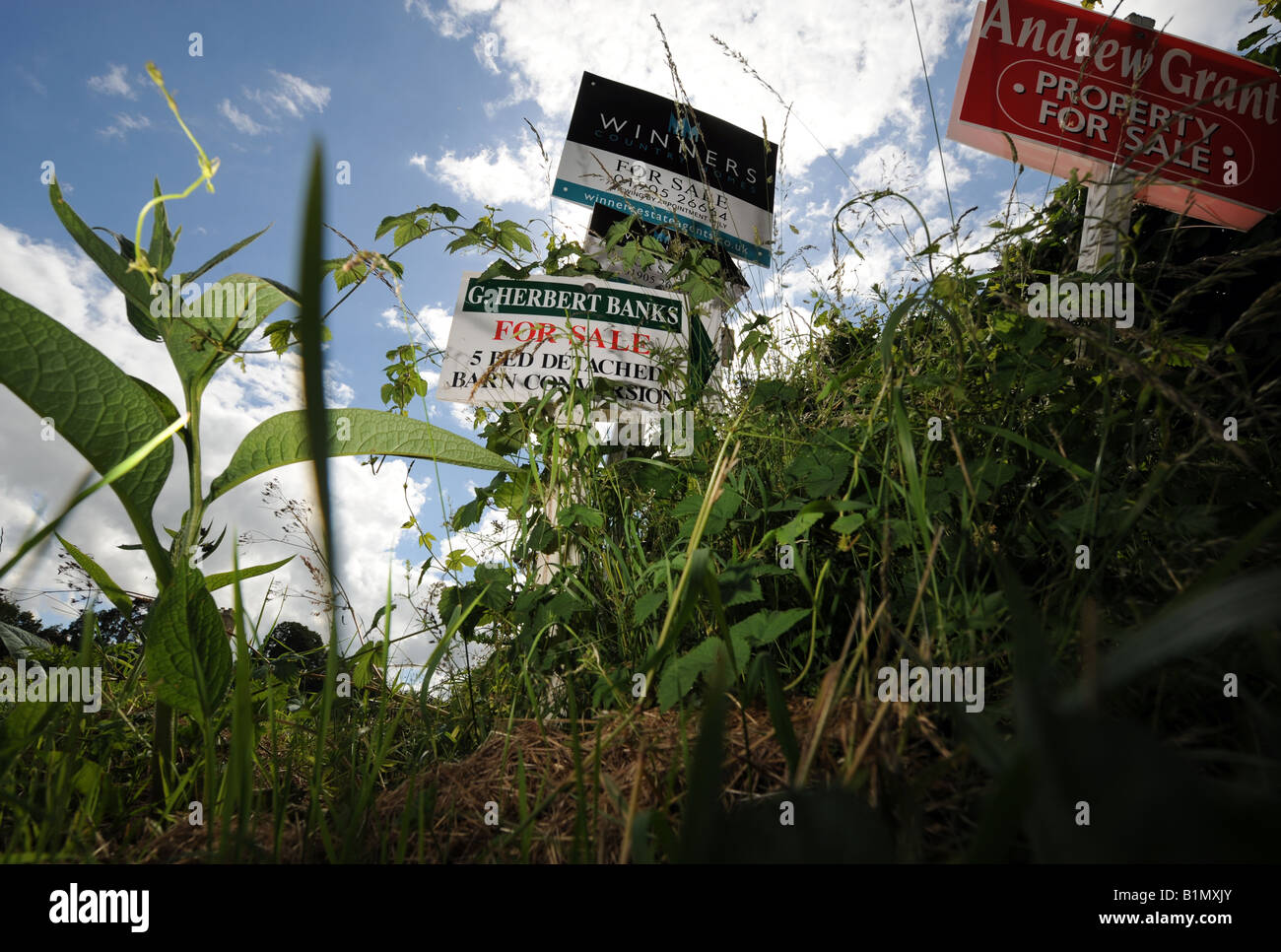 Sign board price sale hi-res stock photography and images - Page 9 