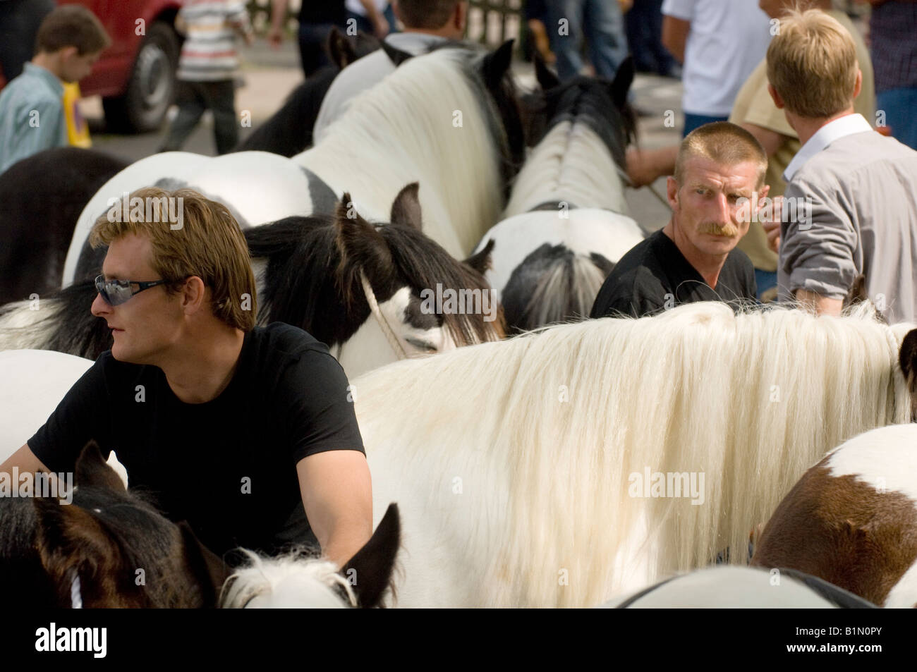 Horse dealers at Appleby horse Fair with horses to sell Stock Photo Alamy