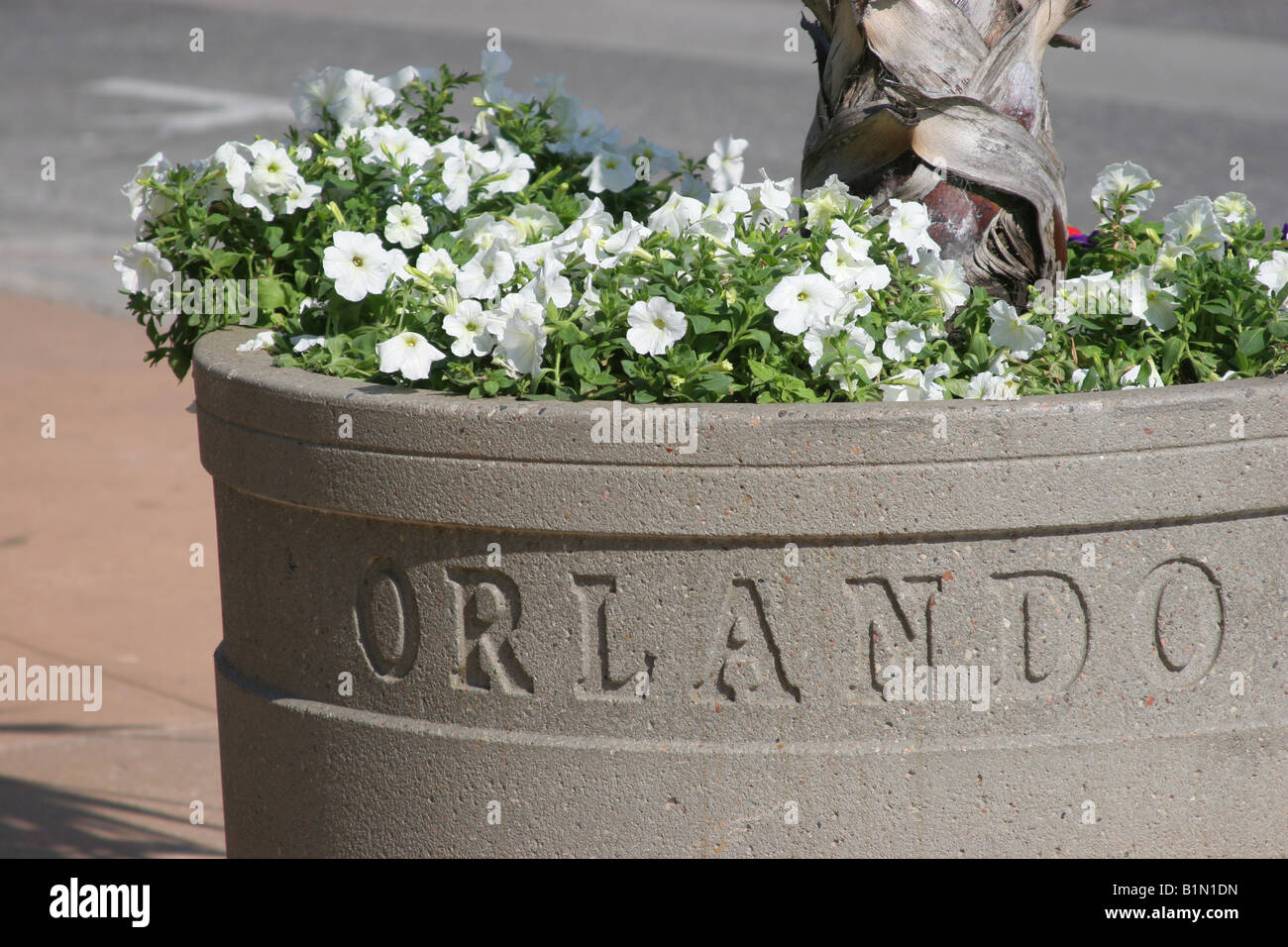 Street urban garden in the city of Orlando Florida with flowers and