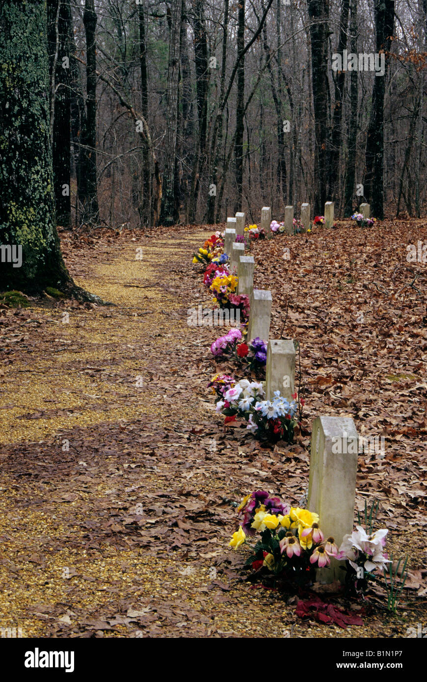 Graves of unknown hires stock photography and images Alamy