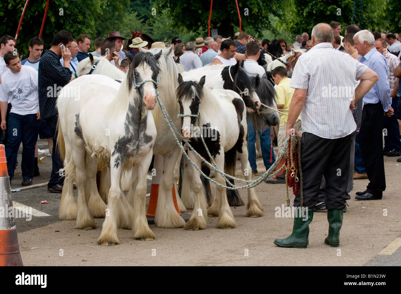 Horse dealers at Appleby horse Fair with horses to sell Stock Photo Alamy