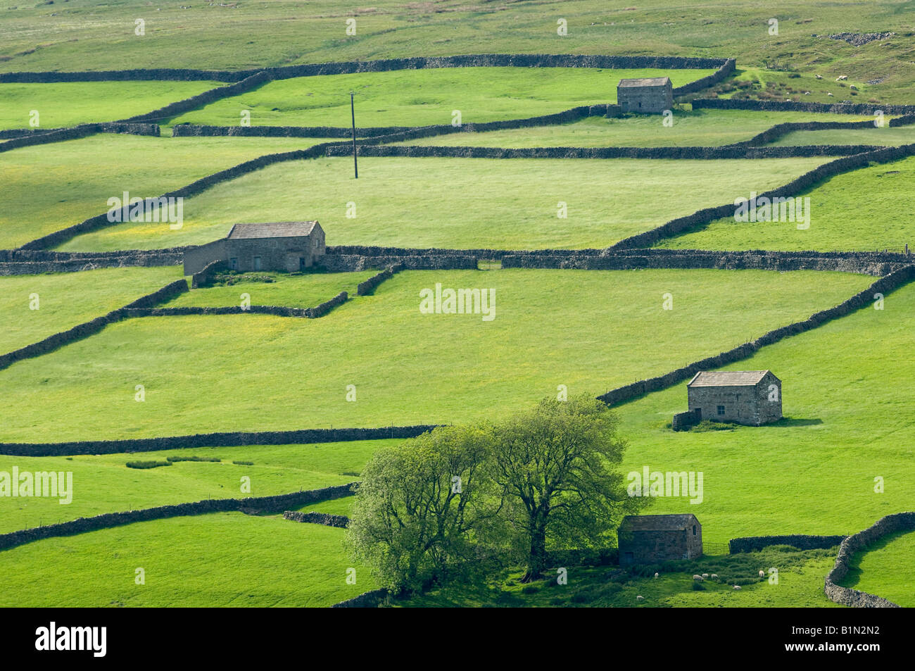 Enclosure Industrial Revolution