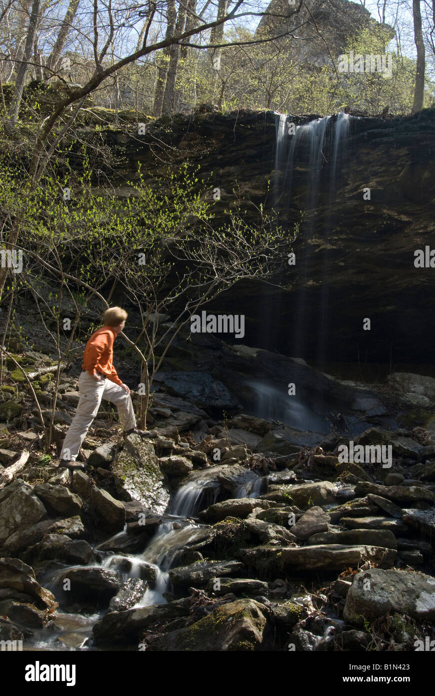 Male hiker near admiring a waterfall near the Kings Bluff trail in the Ozark National Forest of Arkansas Stock Photo