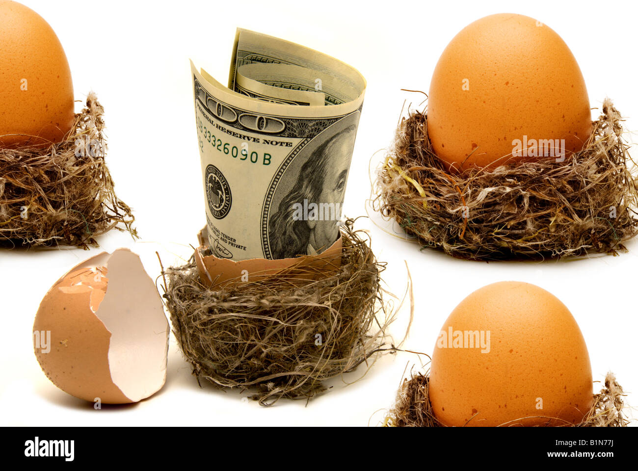Eggs nest and us dollar money conceptual image Stock Photo Alamy