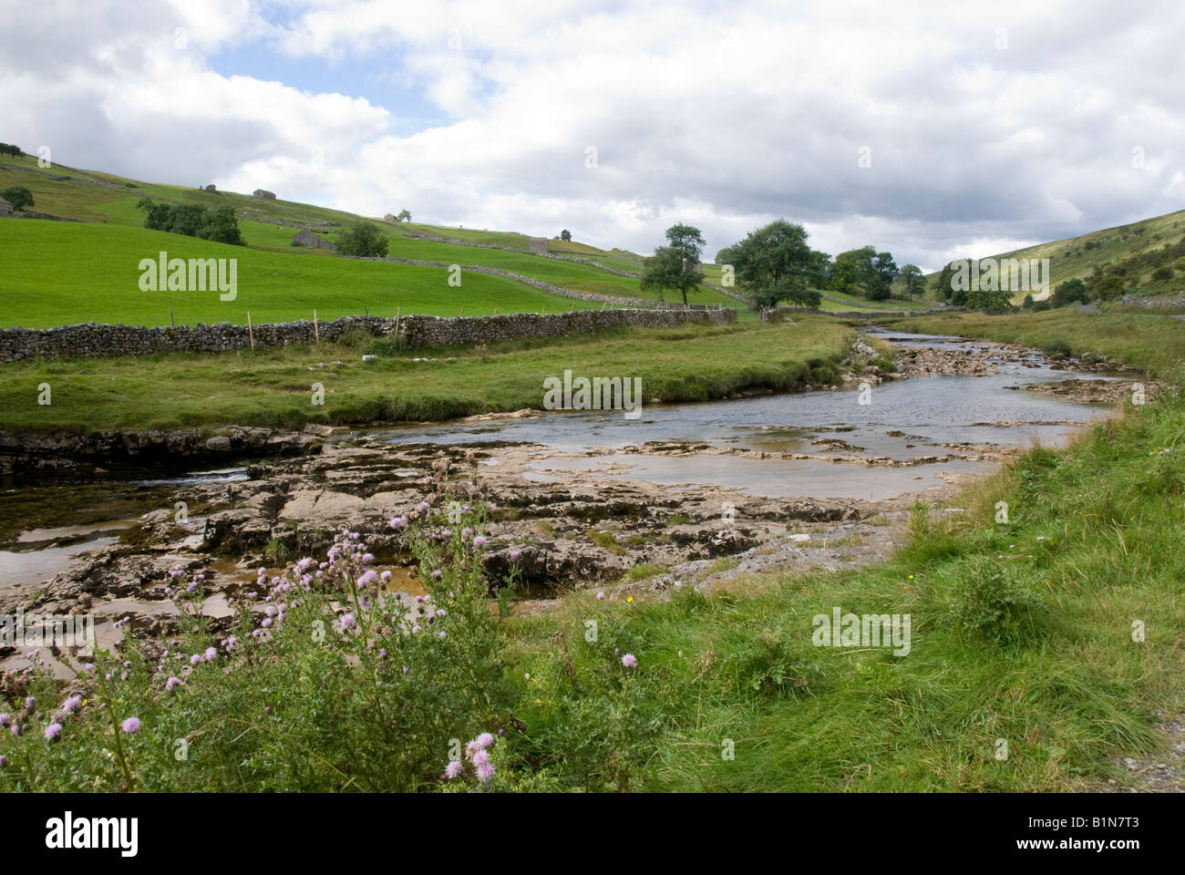 River Wharfe, Stone barns, walls and fields, Langstrothdale Chase, Yorkshire Dales National Park Stock Photo