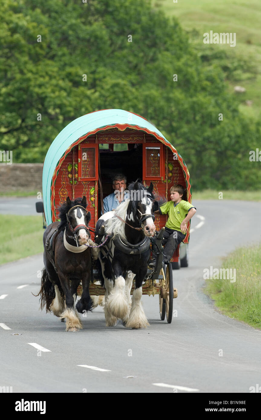 Horse drawn caravan on the road heading to Appleby horse fair On A683 betwen Sedbergh and Kirkby Stephen Stock Photo