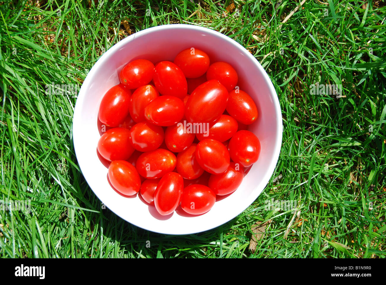 fresh tomatoes 'coeur de pigeon' in a white bowl with a grass background Stock Photo