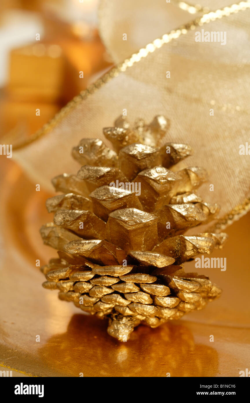 Golden fir cone Stock Photo Alamy
