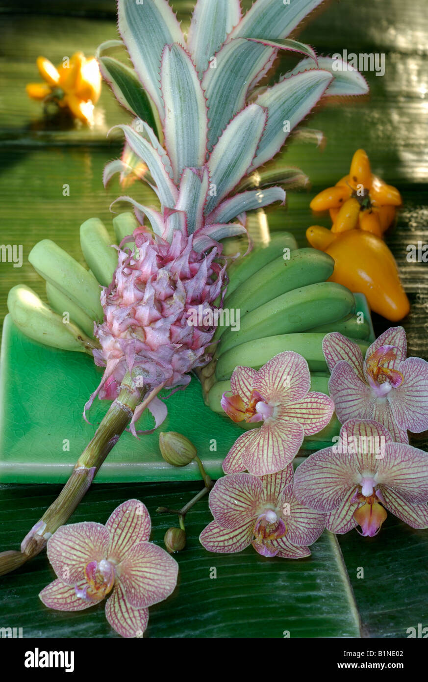 Arrangement of bromelias, bananas and orchid blossoms Stock Photo