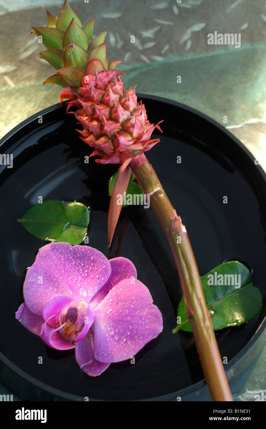 Arangement of bromelia, orchid blossom and a water bowl Stock Photo