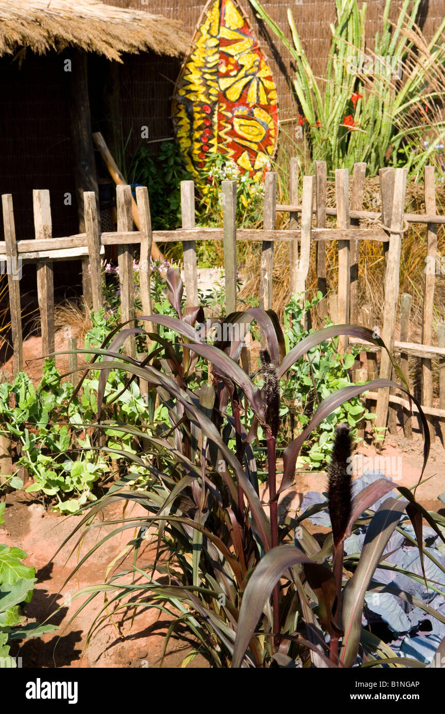 exotic vegetable garden for dry region Stock Photo Alamy