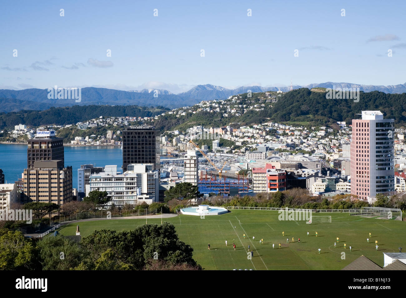 View over the Capital City of Wellington New Zealand Stock Photo