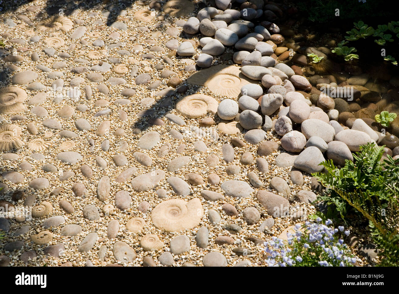 fossils in a pebble garden path Stock Photo