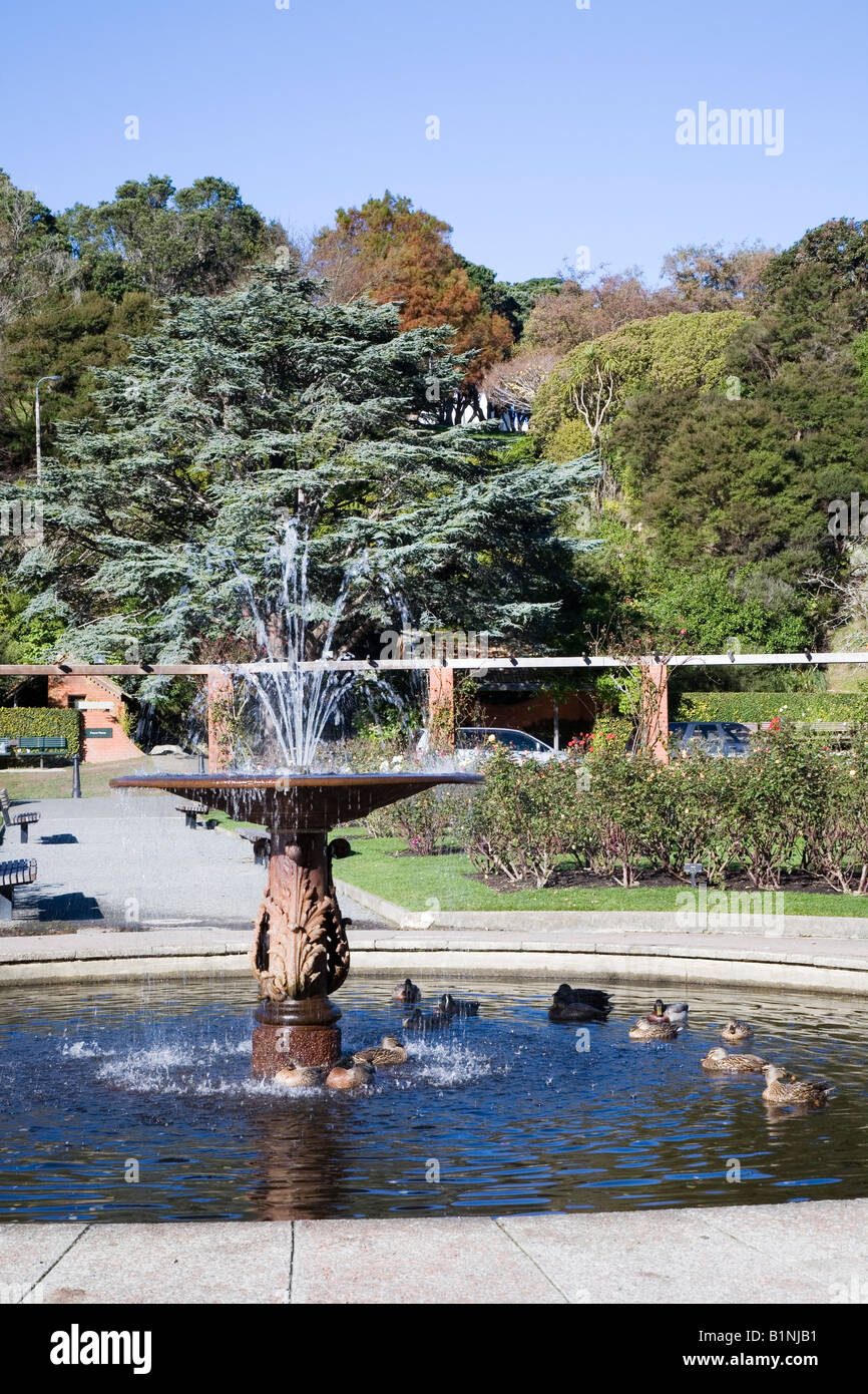 Ducks resting under fountain, Lady Norwood Rose Garden, Wellington, New Zealand Stock Photo