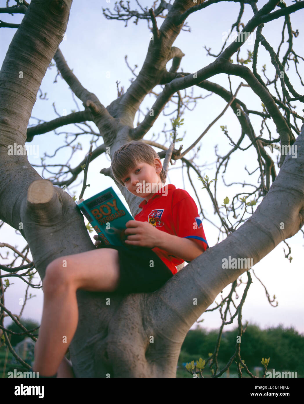 Eight year old boy in Czech National football kit reads a book up a