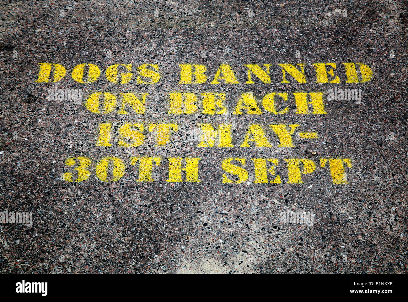 Dogs Banned on Beach sign, England Stock Photo Alamy
