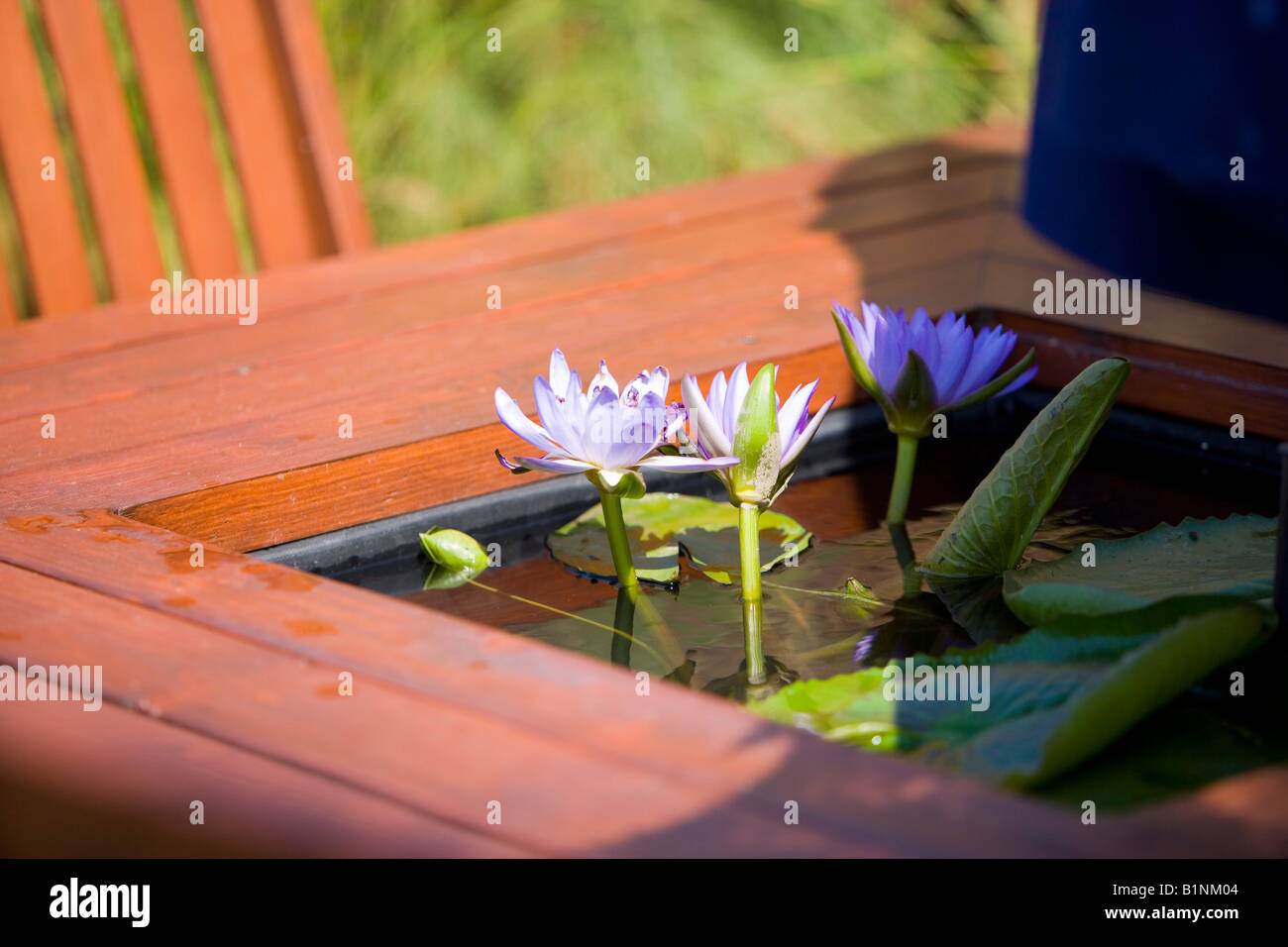 Small water feature garden hi-res stock photography and images - Alamy