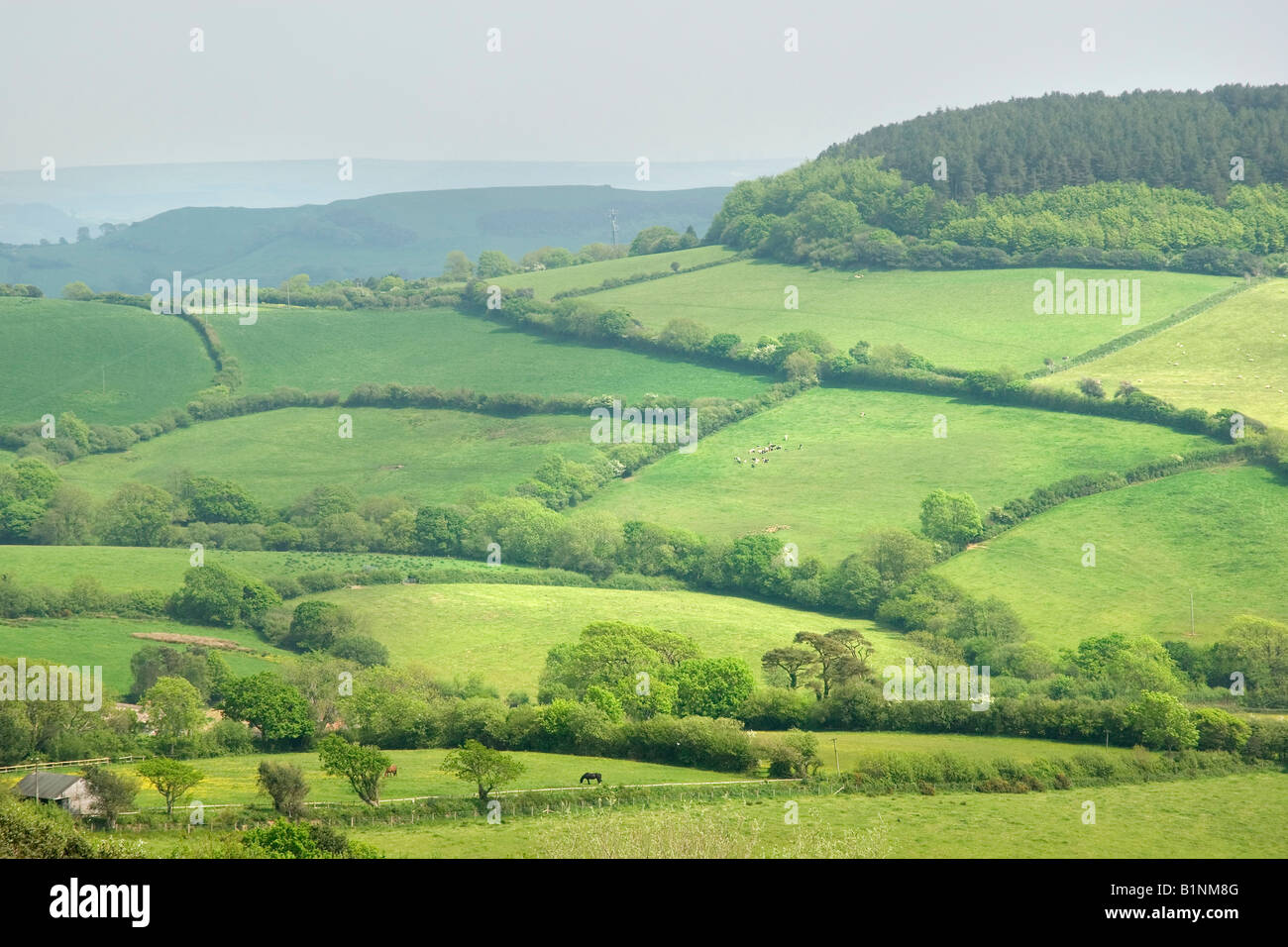Characteristic english landscape, South England, UK Stock Photo - Alamy