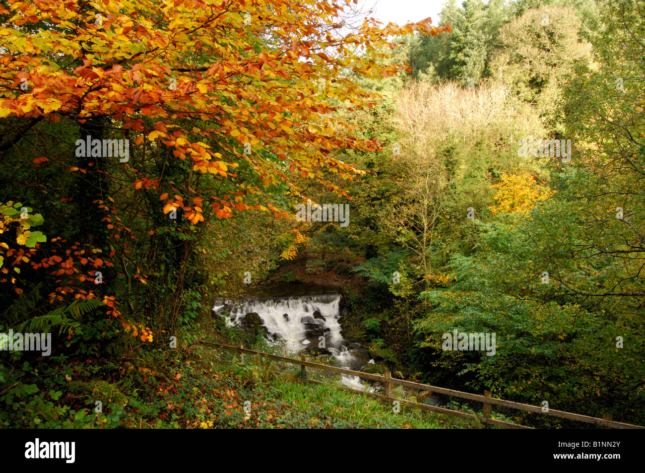 Dun na Ri Forest Park, County Cavan ,Ireland  Cavan Ireland Waterfall Stock Photo